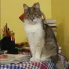 Отзыв от Яна Глухова